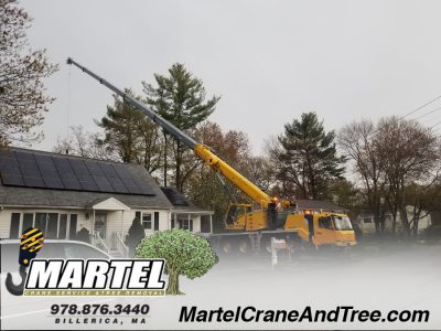 Long reach of our crane to remove trees in Billerica, MA