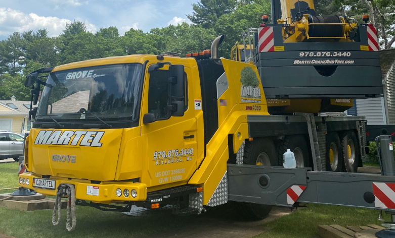 Tree Removal and Crane Service in Burlington, MA
