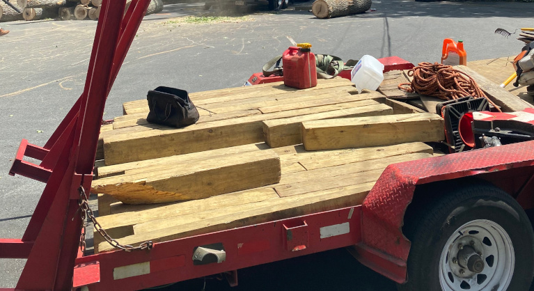 Tree Removal and Service in North Andover MA
