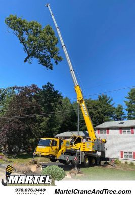 Large yard expansion project in Tewksbury, MA