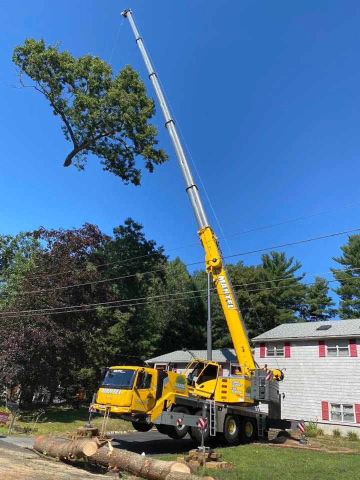 Large yard expansion project in Tewksbury, MA