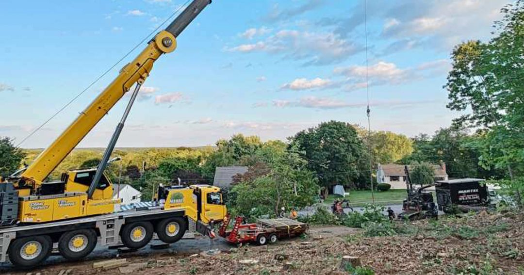 Lot Clearing and Tree Removal in Billerica, MA.