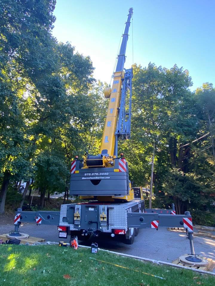 https://martelcraneandtree.com/2021/01/05/martel-crane-service-tree-removal-in-winchester-ma/