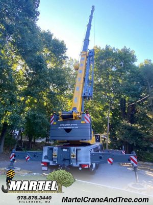 Martel Crane Service & Tree Removal in Winchester MA