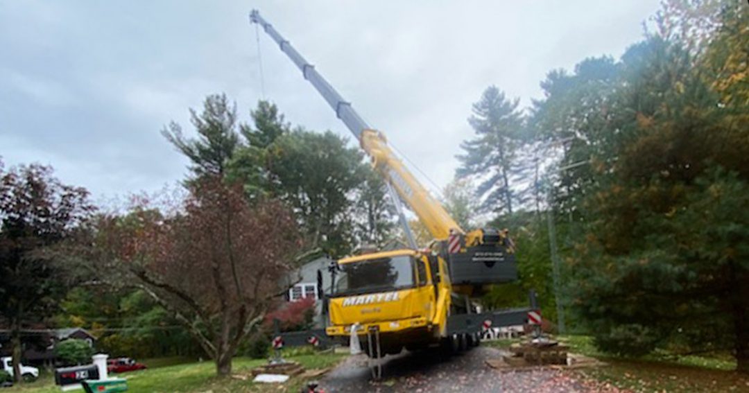 Tree Service and Removal in Westford, MA