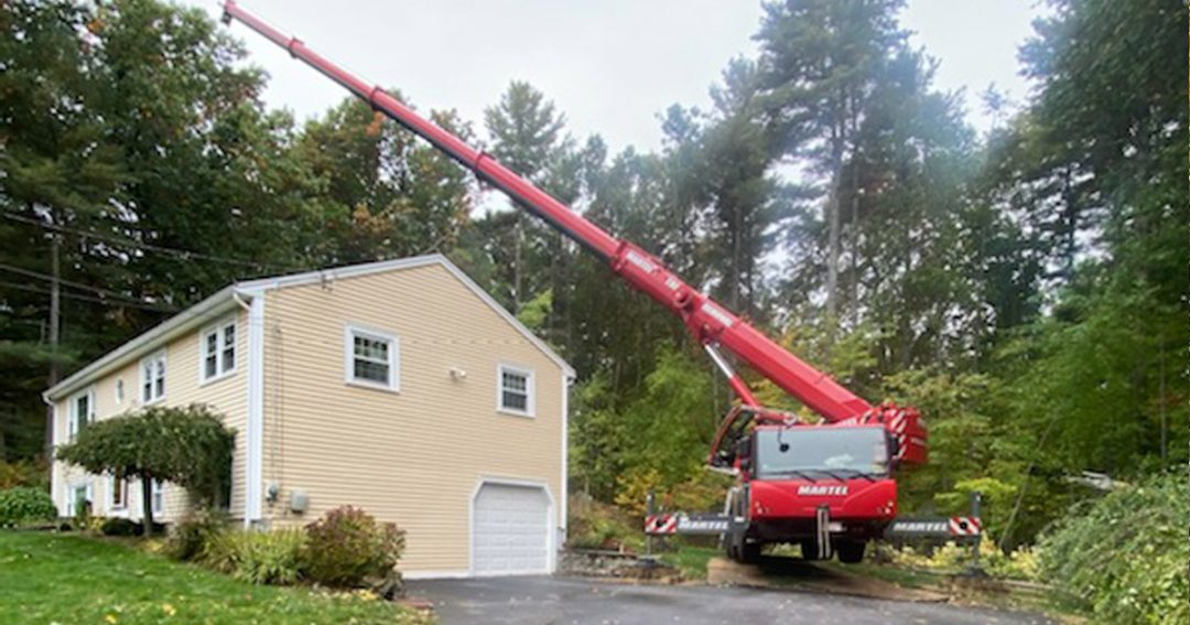 Tree Removal Service in Westford, MA