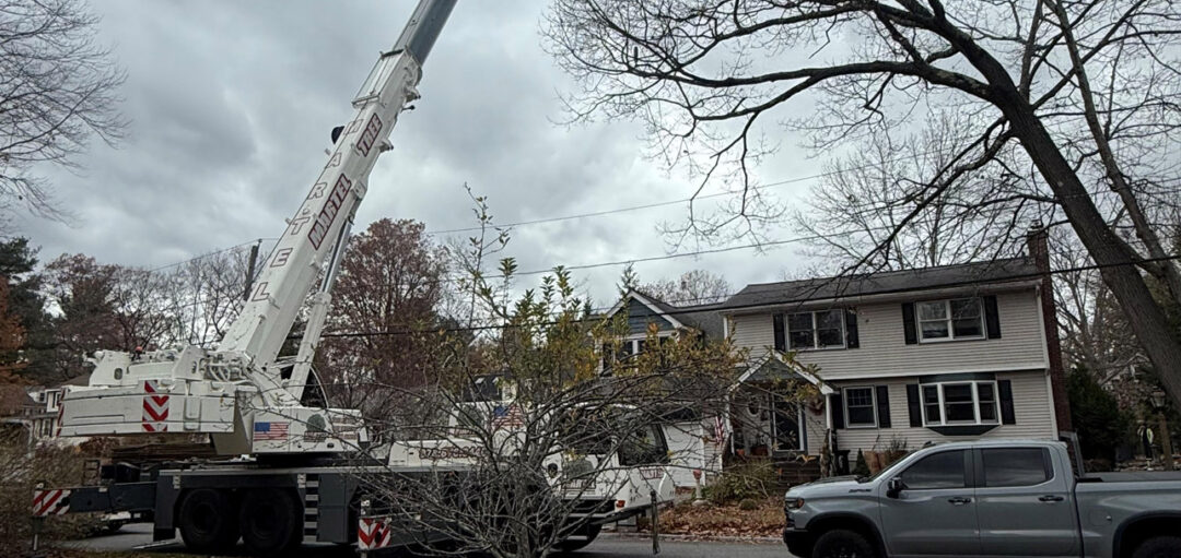Residential Tree Removal in Billerica, MA