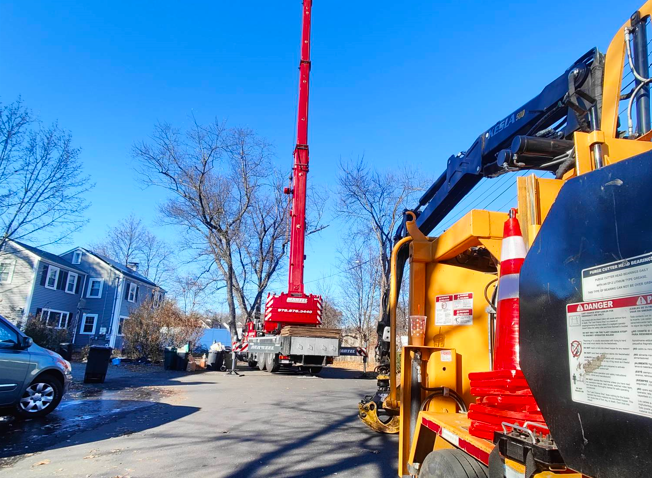 Tree Removal Service in Woburn, MA.