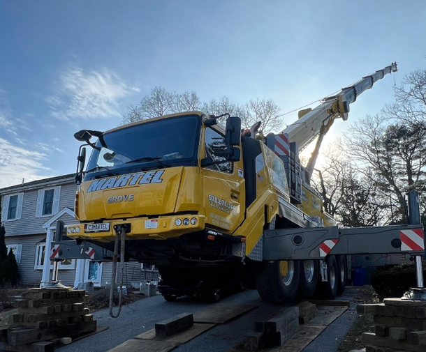 Tree Removal and Service in Arlington, MA.