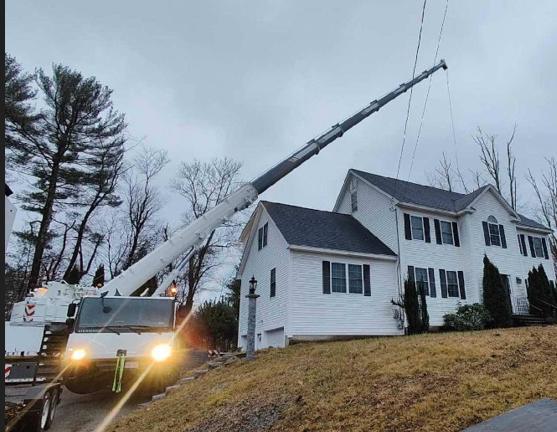 Tree Service and Removal in Billerica, MA