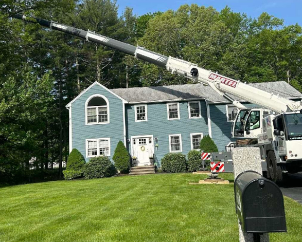 Tree Removal Service in Westford, MA.