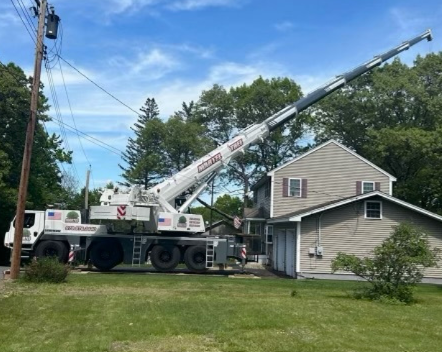 Tree service and Removal in Burlington, MA.