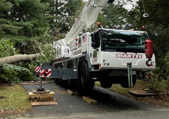 Tree Removal Service in Chelmsford, MA.