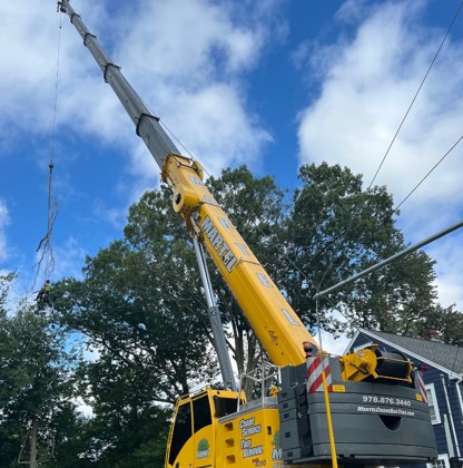 Tree Removal Service and Pruning in Reading, MA.