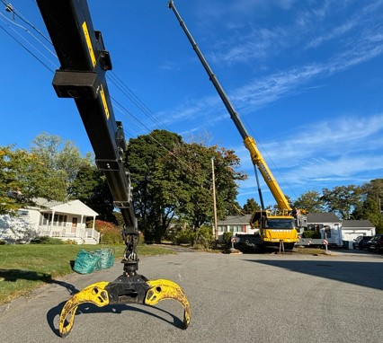 Tree Removal in Woburn, MA.