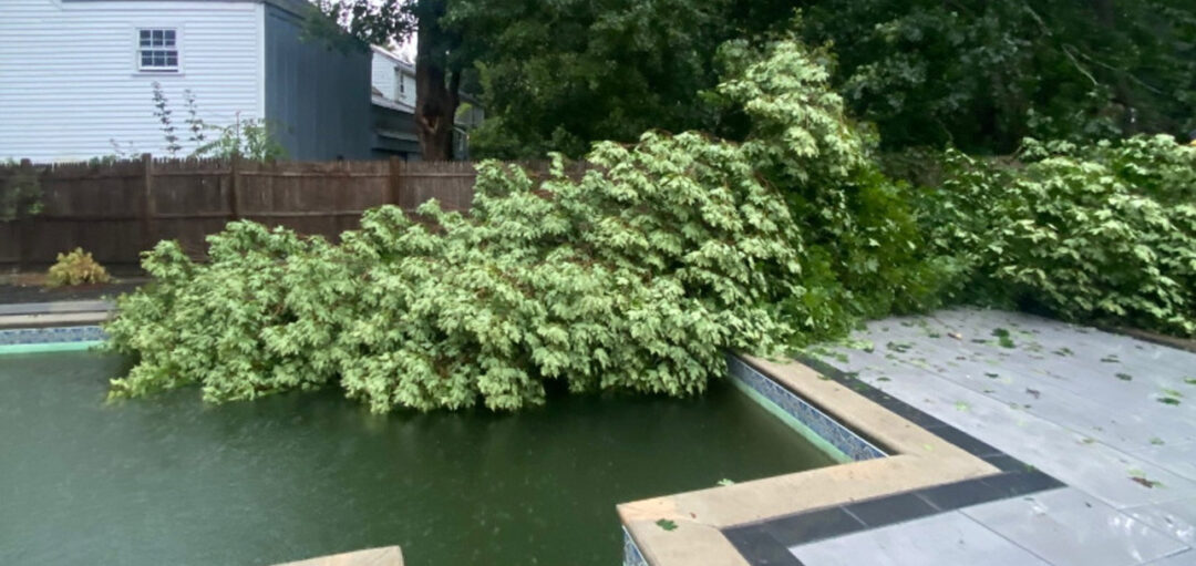 Storm Damage and Tree Removal in Chelmsford, MA.