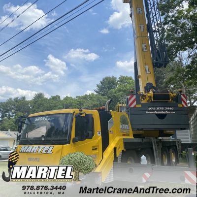 Tree Removal and Crane Service in Burlington, MA