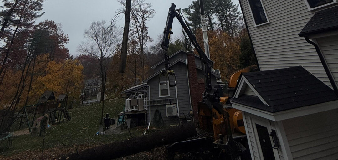 Tree Removal & Crane Service in Burlington, MA