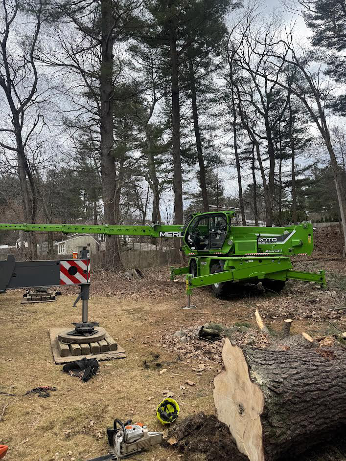 Tree Removal & Crane Service in Chelmsford, MA