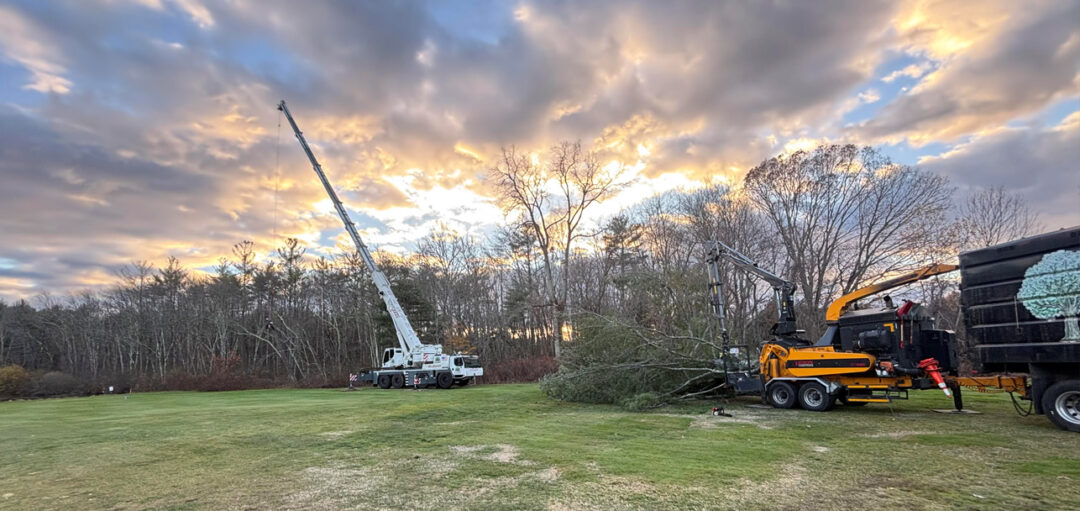 Tree Removal & Crane Service – Bedford, MA