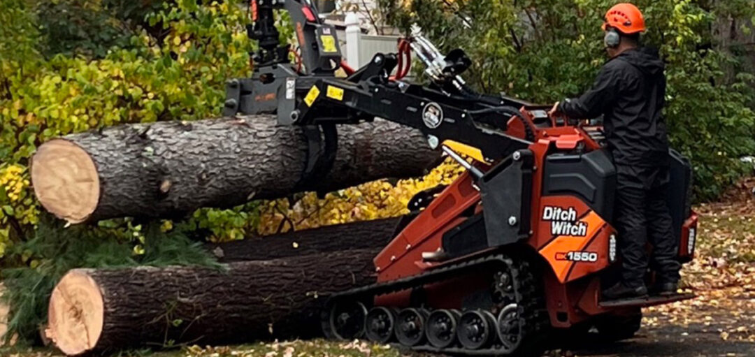 Tree Removal and Cleanup in Billerica, MA.