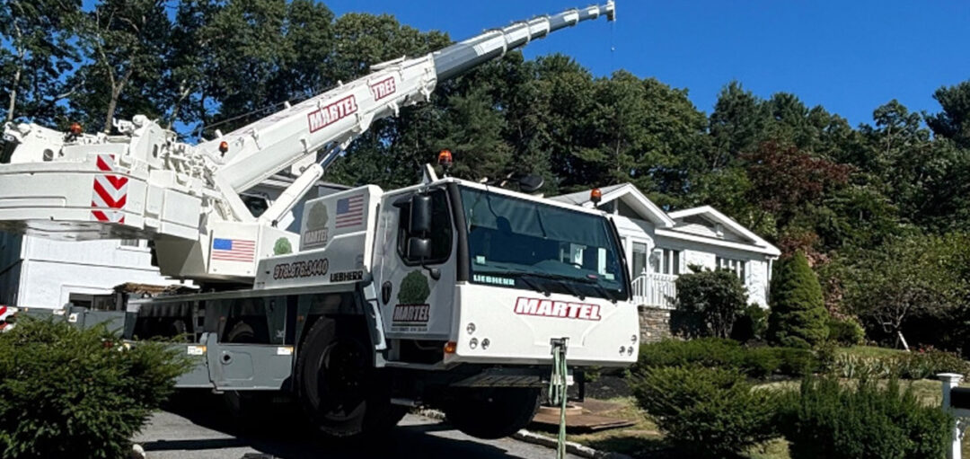 Tree Removal in Chelmsford, MA.
