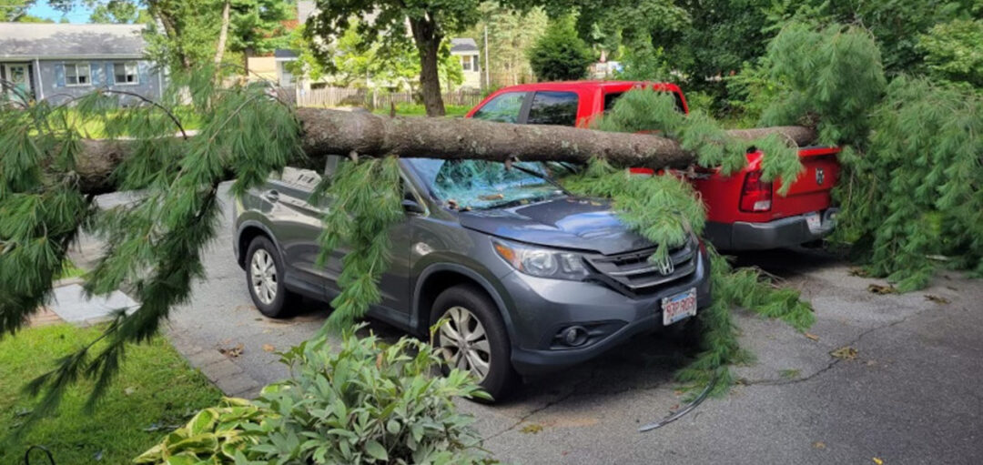 Tree Removal and Storm Damage in Chelmsford, MA.