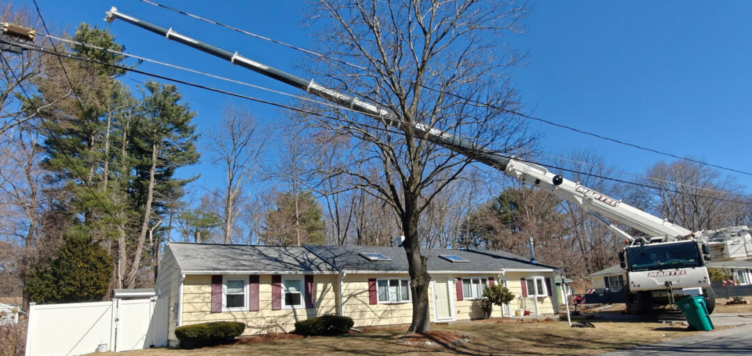 Crane Service and Tree Removal in Billerica, MA.