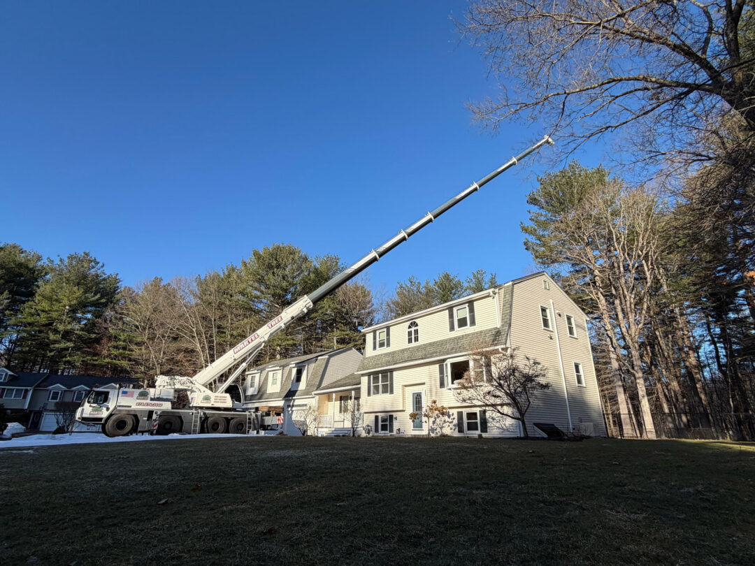 Tree Removal in Billerica, MA by Martel Crane Service & Tree Removal