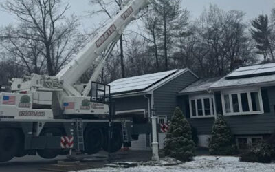 Tree Removal in Billerica, MA