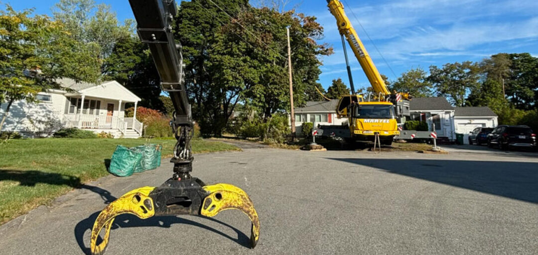 Tree Removal in Woburn, MA