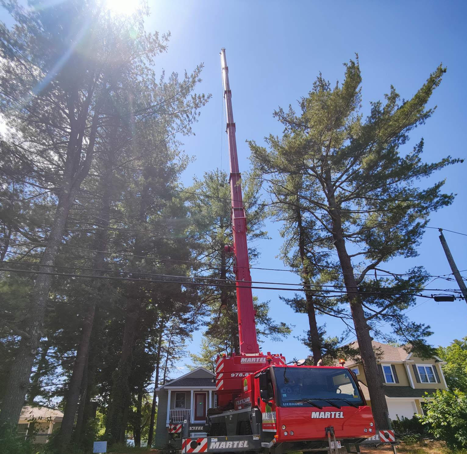Tree Removal Service in Westford, MA.