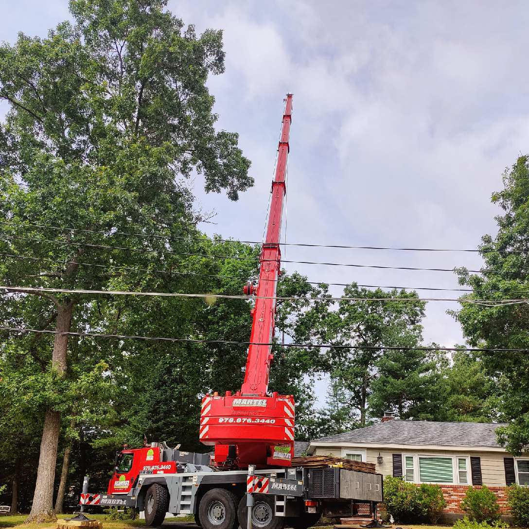 Tree Removal Service in Wilmington, MA.