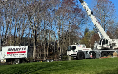 Tree Removal & Crane Service in Wilmington, MA