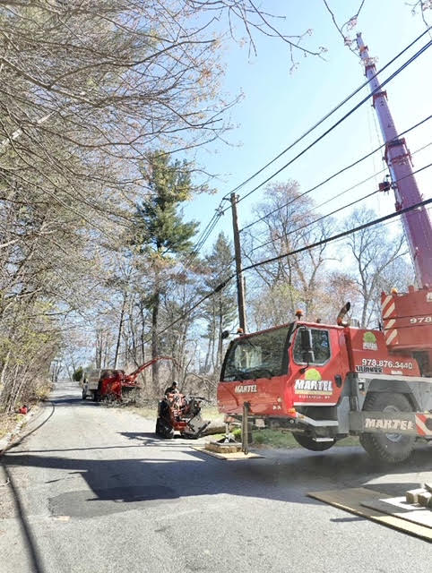Martel Crane Service & Tree removed trees from this property in Billerica, MA.

