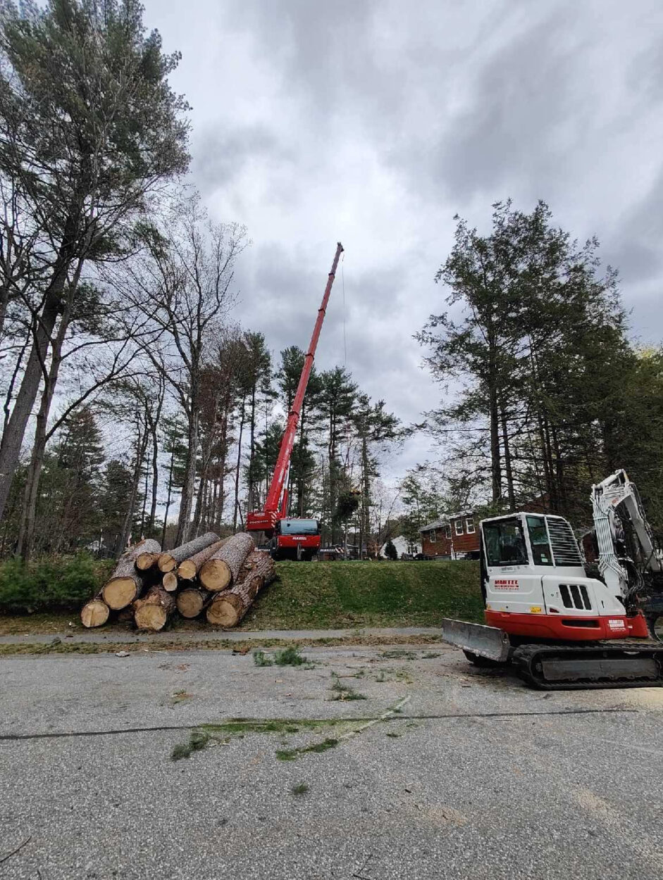 Tree Removal Service in Billerica, MA
