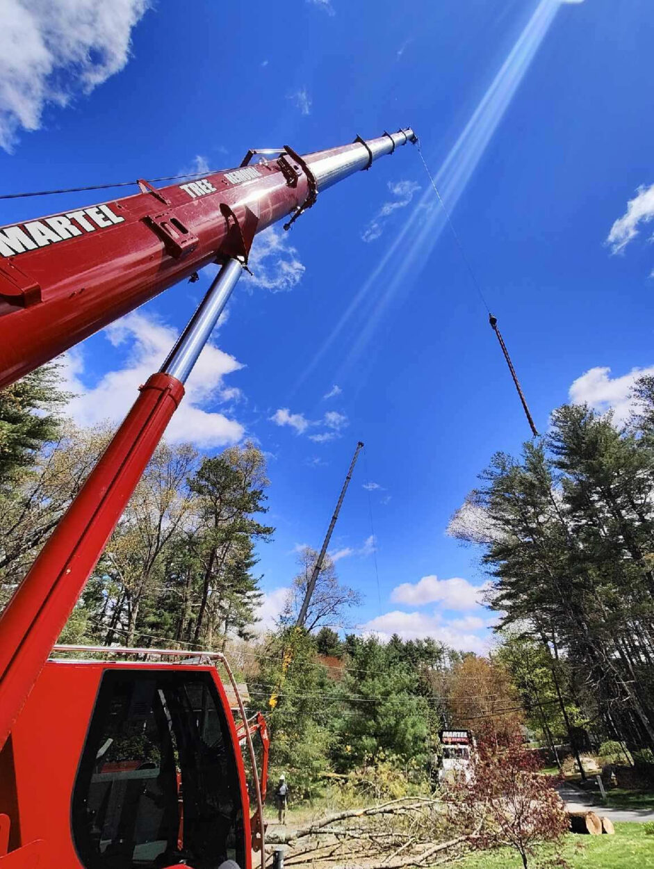 Martel Crane & Tree removed several trees at this home in Westford, MA. 