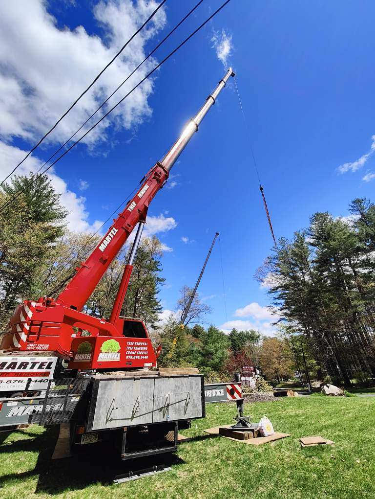 Martel Crane & Tree removed several trees at this home in Westford, MA. 