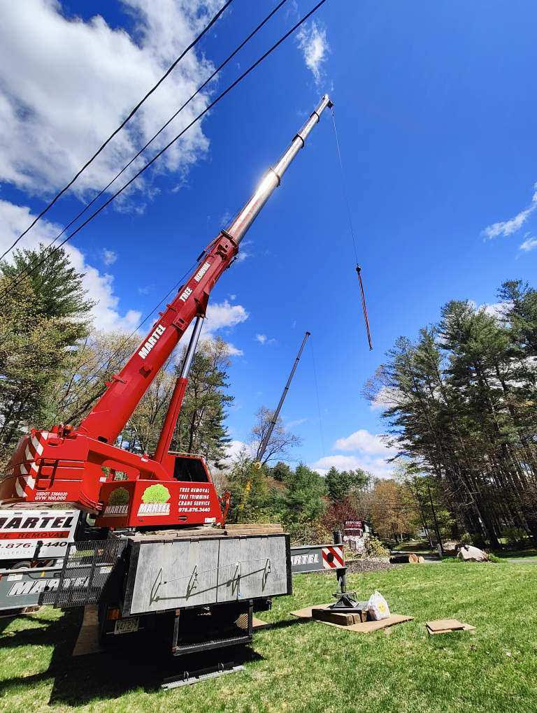 Martel Crane & Tree removed several trees at this home in Westford, MA. 