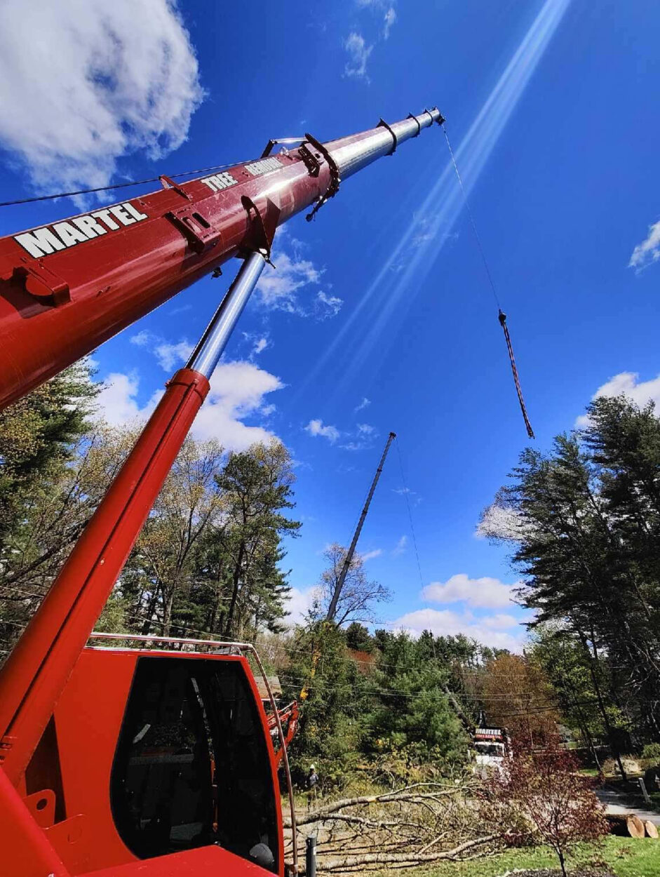 Martel Crane & Tree removed several trees at this home in Westford, MA. 