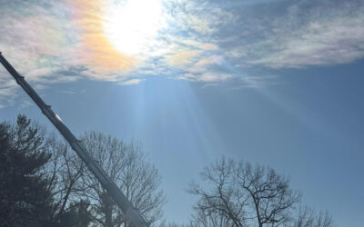 Professional Tree Removal & Crane Service in Billerica, MA