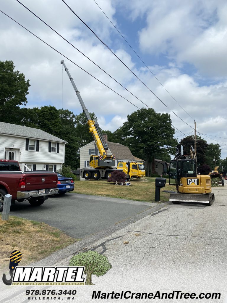 Martel Crane Service & Tree Removal setup in the driveway to safely remove trees from the back of the property in Billerica, MA