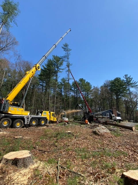 Martel Crane and Tree Service removed trees from this lot in Billerica, MA.

