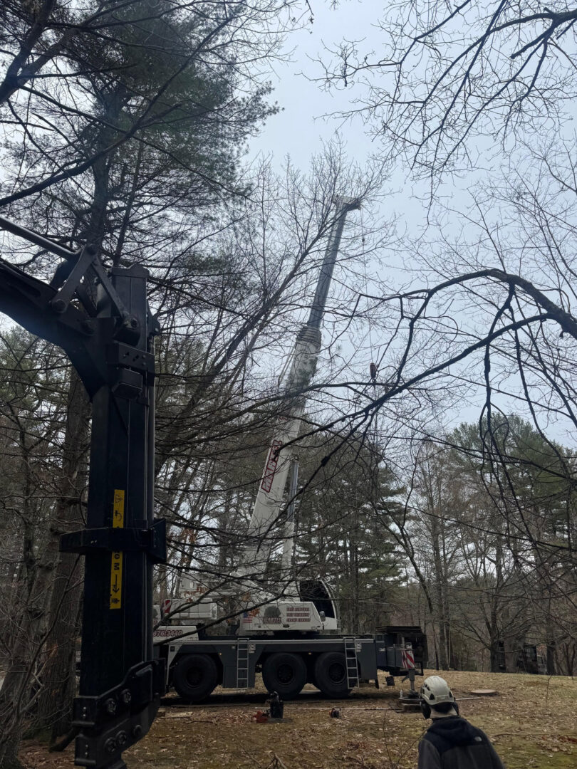 Tree Removal & Crane Service in Carlisle, MA.