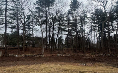 Tree Removal & Yard Expansion in Chelmsford, MA