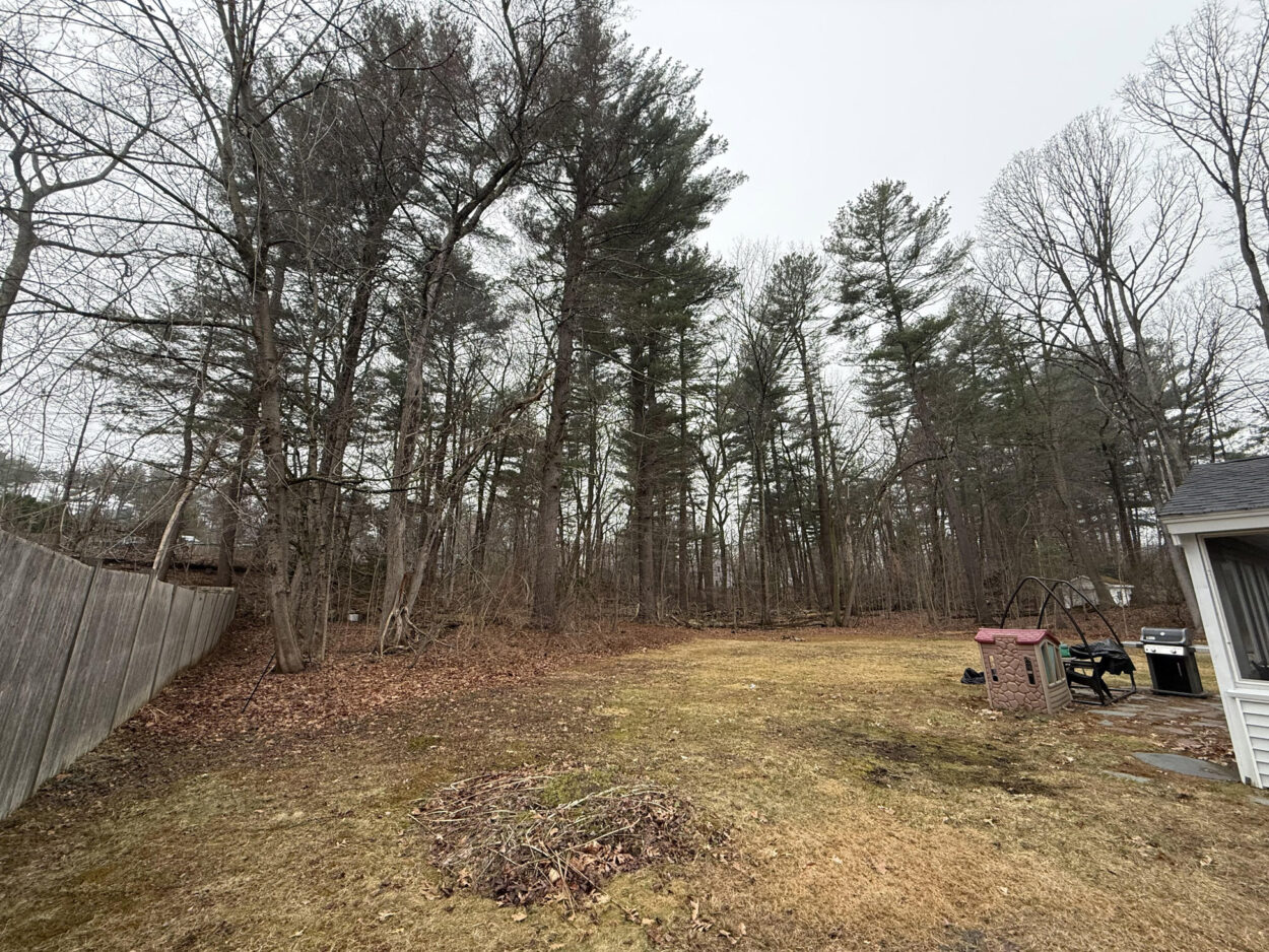 Tree Removal & Yard Expansion in Chelmsford, MA