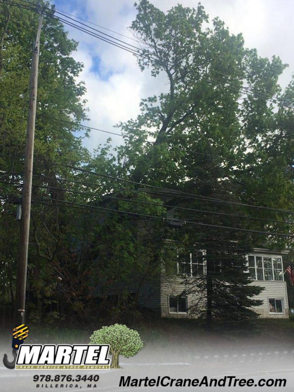 Storm damage in Dracut, MA