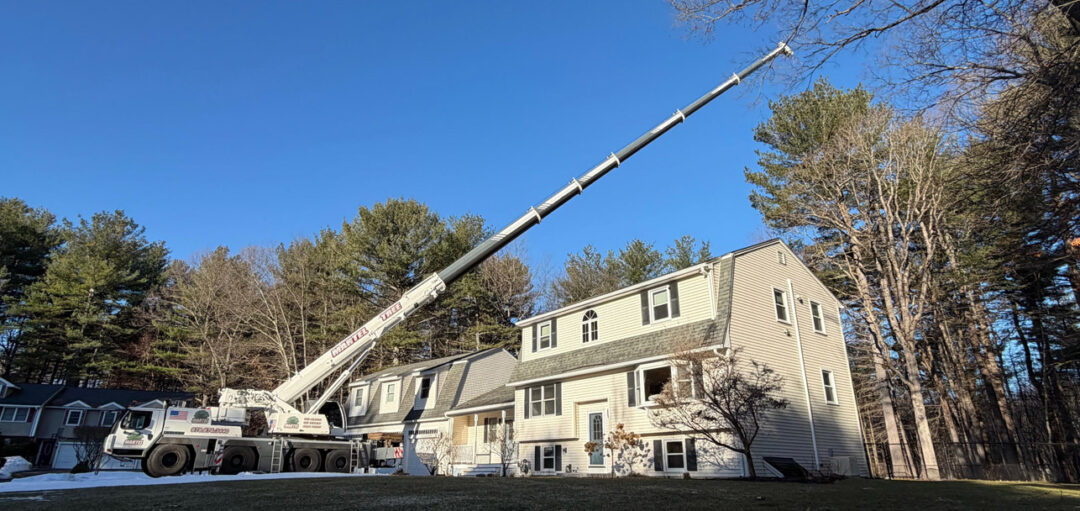Tree Removal in Billerica, MA