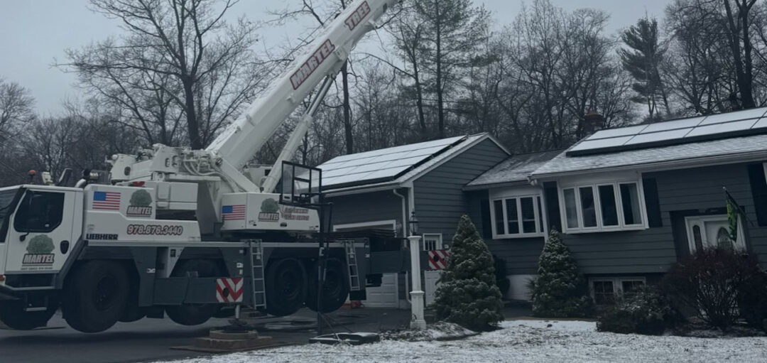 Big Reach! Crane-Assisted Tree Removal in Billerica, MA