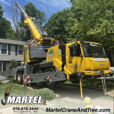 Tree Removal and Service in North Andover MA